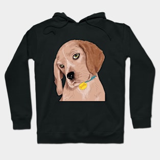 Curious Beagles Hoodie